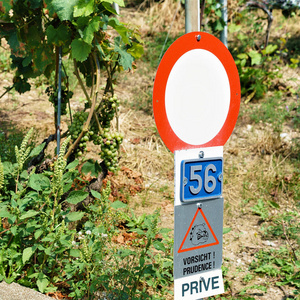 道路标志在葡萄园梯田远足小径沃瑞士