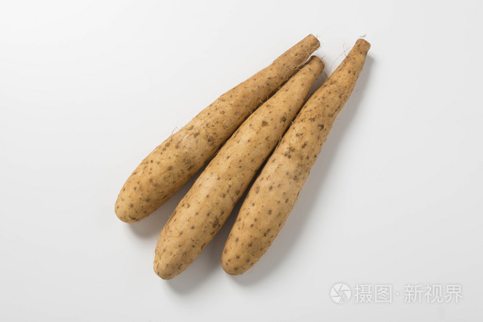 yam  chinese yam wild yam