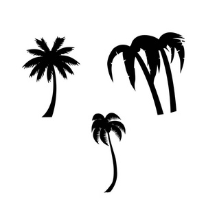 在白色背景上隔离的棕榈树图标集的矢量黑色剪影插图