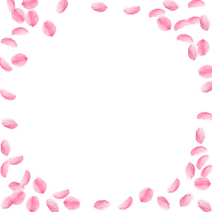 樱花花瓣落下。浪漫的粉红色丝质中花。稀疏的飞樱瓣。角帧情感矢量背景