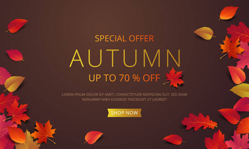 秋季销售横幅布局模板装饰与枫叶和现实的叶子在温暖的颜色色调为购物或促销海报, 传单和网页横幅。矢量插图