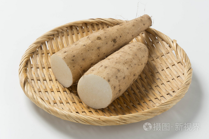 yam too long chinese yam wild yam