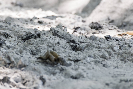 一大堆烧焦炭灰的特写照片