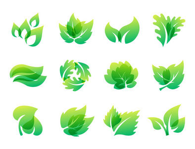 绿叶生态设计友好自然优雅符号和自然元素生态有机矢量图