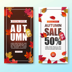 秋季销售横幅布局模板现代设计装饰与枫叶和现实的叶子为购物销售或促销海报, 传单和网页横幅。矢量插图