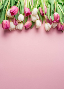 白色和粉红色的郁金香在 lightpink 背景。顶部视图