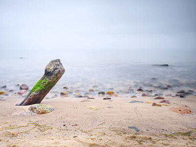 暴风雨后的海上海岸。浪漫的气氛缤纷的日落在海上。蓝天高于海平面。在空旷的石质海岸线上孤独倒下的树