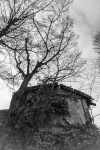 在意大利废弃的旧恐怖屋。周围的树木, 和自然接管