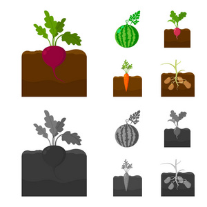 西瓜, 萝卜, 胡萝卜, 土豆。植物集合图标在卡通, 单色风格矢量符号股票插画网站