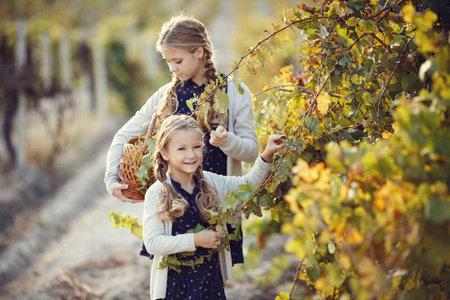 与葡萄在户外的小女孩。系列秋天普罗旺斯乡村