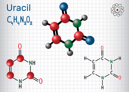 尿 U嘧啶碱基在核酸的 Rna。结构化学公式和分子模型。一张纸在笼子里。矢量插图