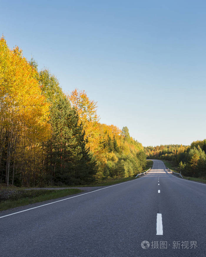 空的高速公路路与秋天色的树在两边, 北欧秋天风景