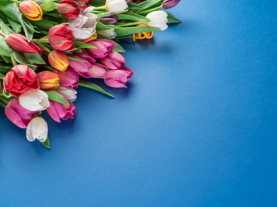 五颜六色的郁金香花束在蓝色背景。顶部视图