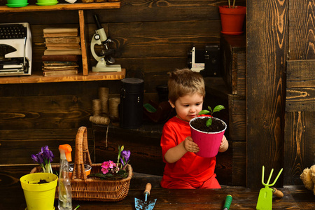 园丁的概念。小园丁。园丁孩子与盆栽植物。随着花园的生长, 园丁