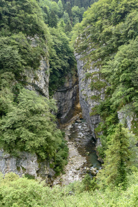 Dezzo 小河在陡峭的岩石峭壁和茂盛的山山沟植被之下, 射击在明亮的夏天光在通过马拉, 斯卡夫峡谷, Colere, 贝加莫