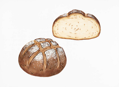 新鲜烤酵母面包手工画的例证照片