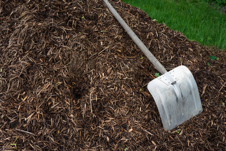 shovelor 铲在园艺地球, 农业和农业工具