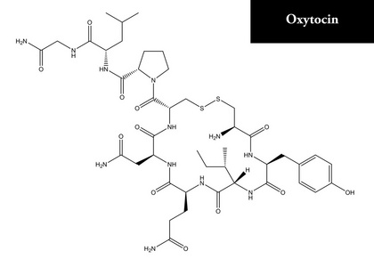 载体催产素分子的化学公式分子结构的催产素,3d 渲染幸福的矢量荷尔蒙