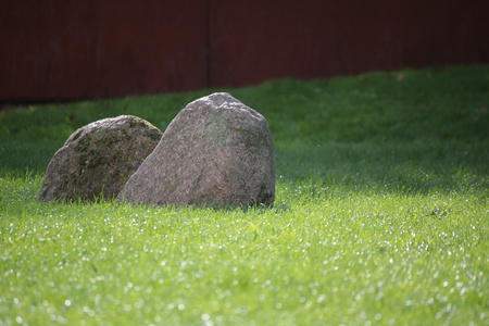 草坪上的岩石