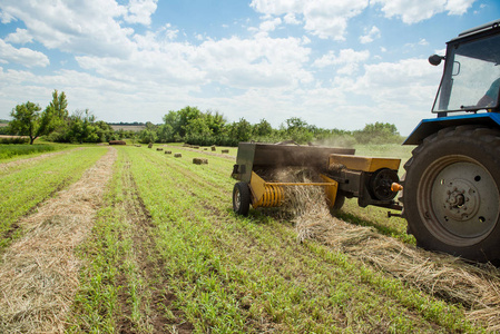 拖拉机收集干草上农场的场长