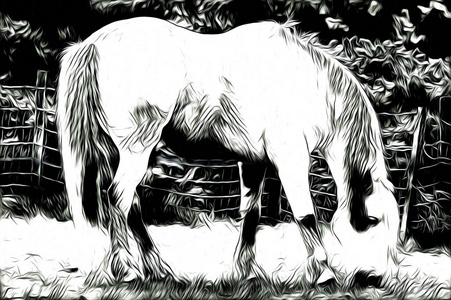 手绘马头艺术设计图片