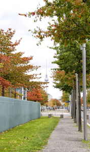 柏林电视塔和树叶树在柏林, 德国