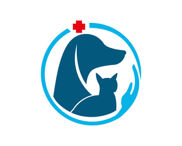 医院健康动物宠物护理兽医诊所朋友安全剪影图爱圈子现代医疗保健狗猫