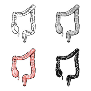 人类大肠癌中孤立的白色背景上的卡通风格的图标。人体器官符号股票矢量图