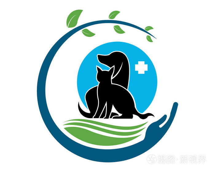医院健康动物宠物护理兽医诊所朋友安全剪影图爱圈子现代医疗保健狗猫