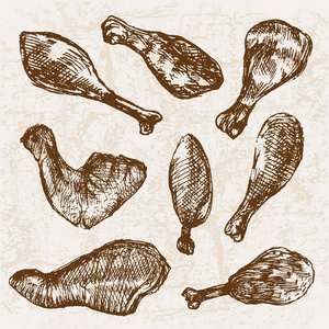 手绘素描鸡肉制品套装, 农场新鲜食品, 黑白复古插图, 简单图画照片