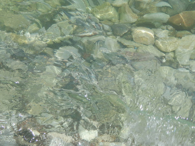 爱琴海海水的质地