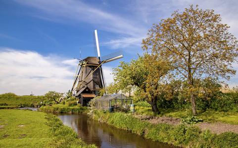 风车村风车景观荷兰
