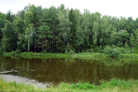 俄罗斯莫斯科附近森林中的 Serebryanka 河