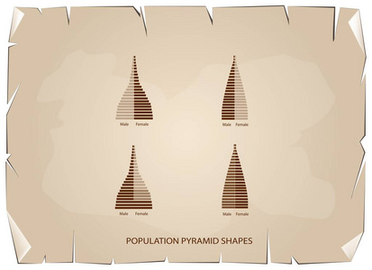4 类人口金字塔图