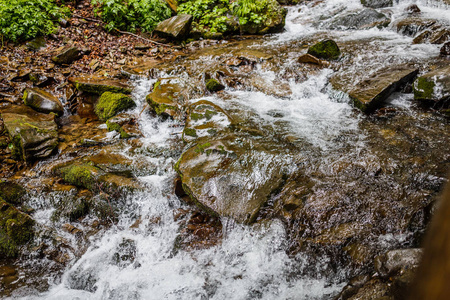 河水流经苔藓覆盖的岩石