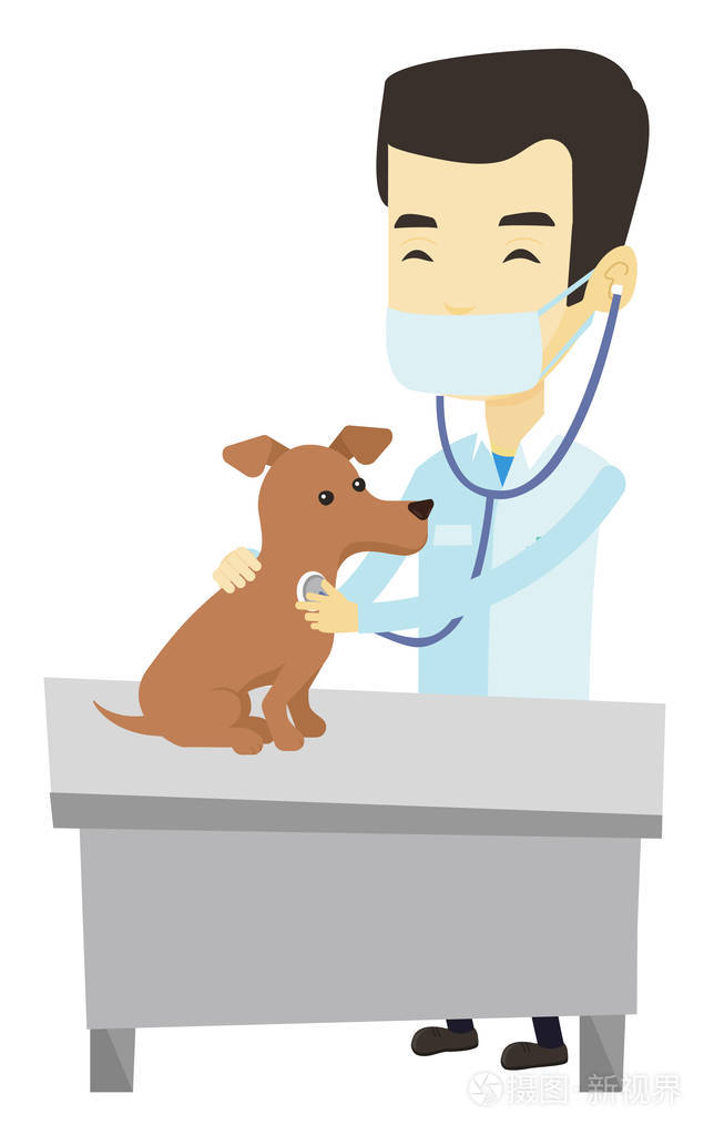 兽医检查狗矢量图