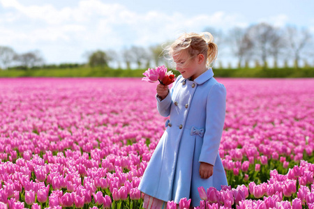 小女孩在美丽的蓝色外套骑自行车通过粉红色的花卉领域在荷兰的一个