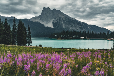 翡翠湖在加拿大落基山脉与山和花卉湖和树木。活动度假与旅游概念