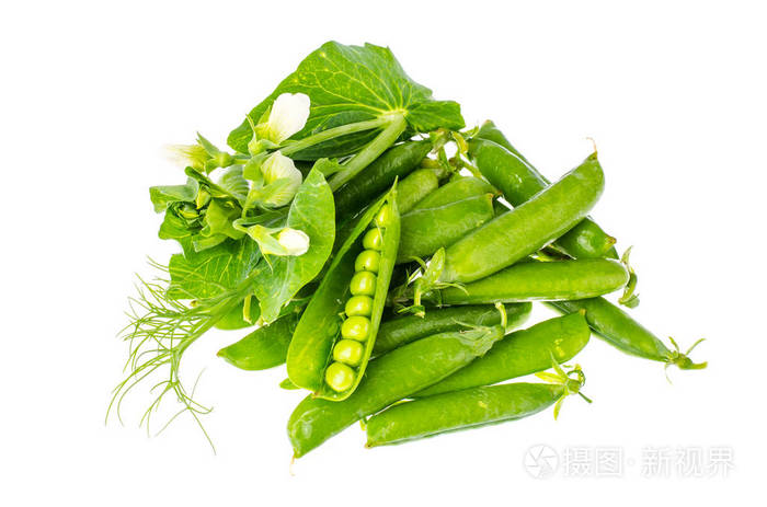 一堆成熟的青豆豆荚, 在白色背景下被隔离