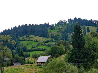 在绿树和灌木丛中沿着山坡的混乱秩序的小农村房屋照片