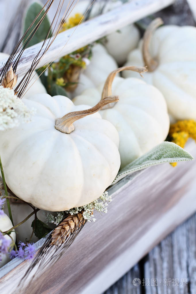 古老的木制工具盒, 里面装满了迷你白南瓜, 羊羔的耳朵叶子, 金色的