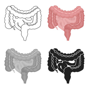 胃肠道中孤立的白色背景上的卡通风格的图标。器官象征股票矢量图