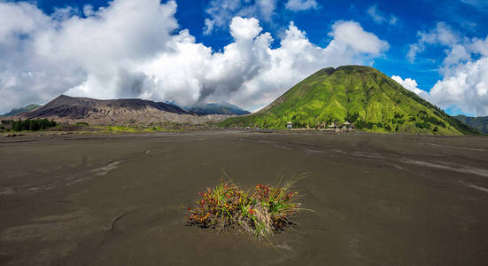 婆罗摩火山 古龙溴 溴腾格里莫印度尼西亚东爪哇的国家公园