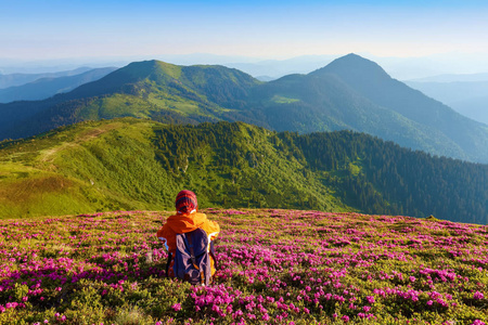 带着背袋的旅游女孩坐在杜鹃草坪上休息。高山覆盖着绿色森林。夏日风光