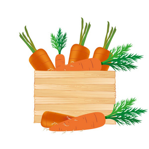 蔬菜图标胡萝卜白色背景矢量图像