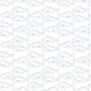 无缝花纹的蓝色鱼白色背景照片