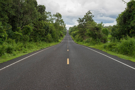 长直沥青路面上坡在森林与对称组成照片
