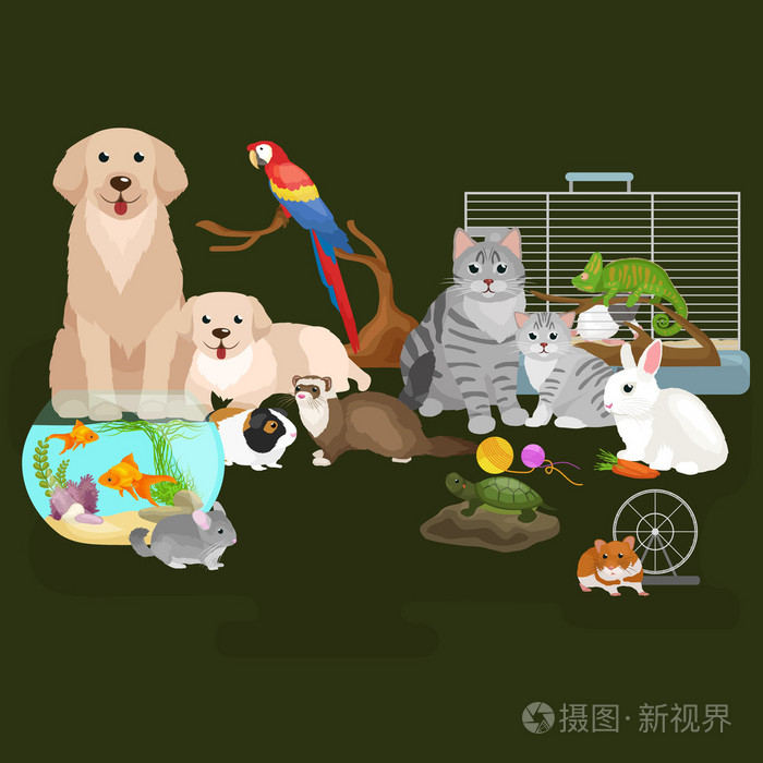 家养动物家庭宠物设置,猫狗鹦鹉金鱼仓鼠