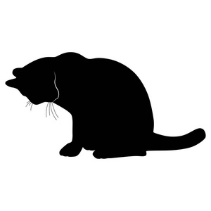 猫的黑色剪影。矢量插画