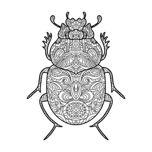 圣甲虫图片-圣甲虫素材-圣甲虫插画-摄图新视界